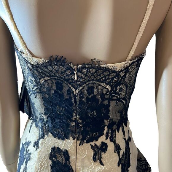 NWT Terani Couture Lace Sweetheart Gown Prom - Picture 10 of 16